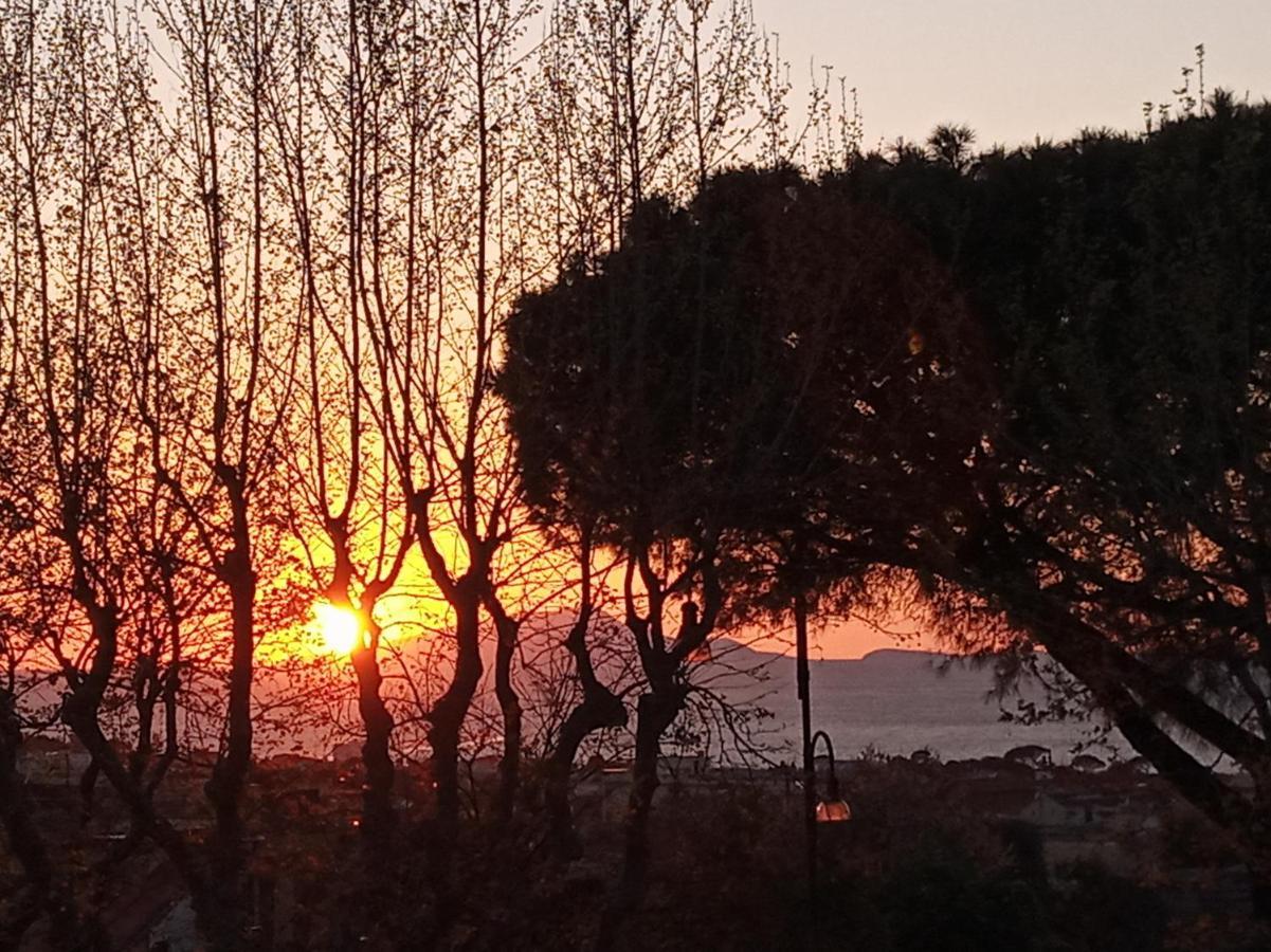 Il Platano Bed & Breakfast Piano di Sorrento Eksteriør bilde