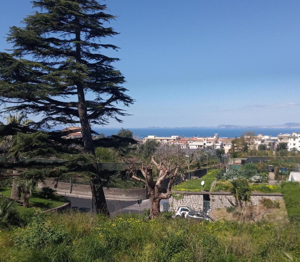 Il Platano Bed & Breakfast Piano di Sorrento Eksteriør bilde