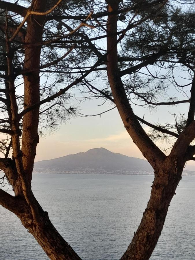 Il Platano Bed & Breakfast Piano di Sorrento Eksteriør bilde