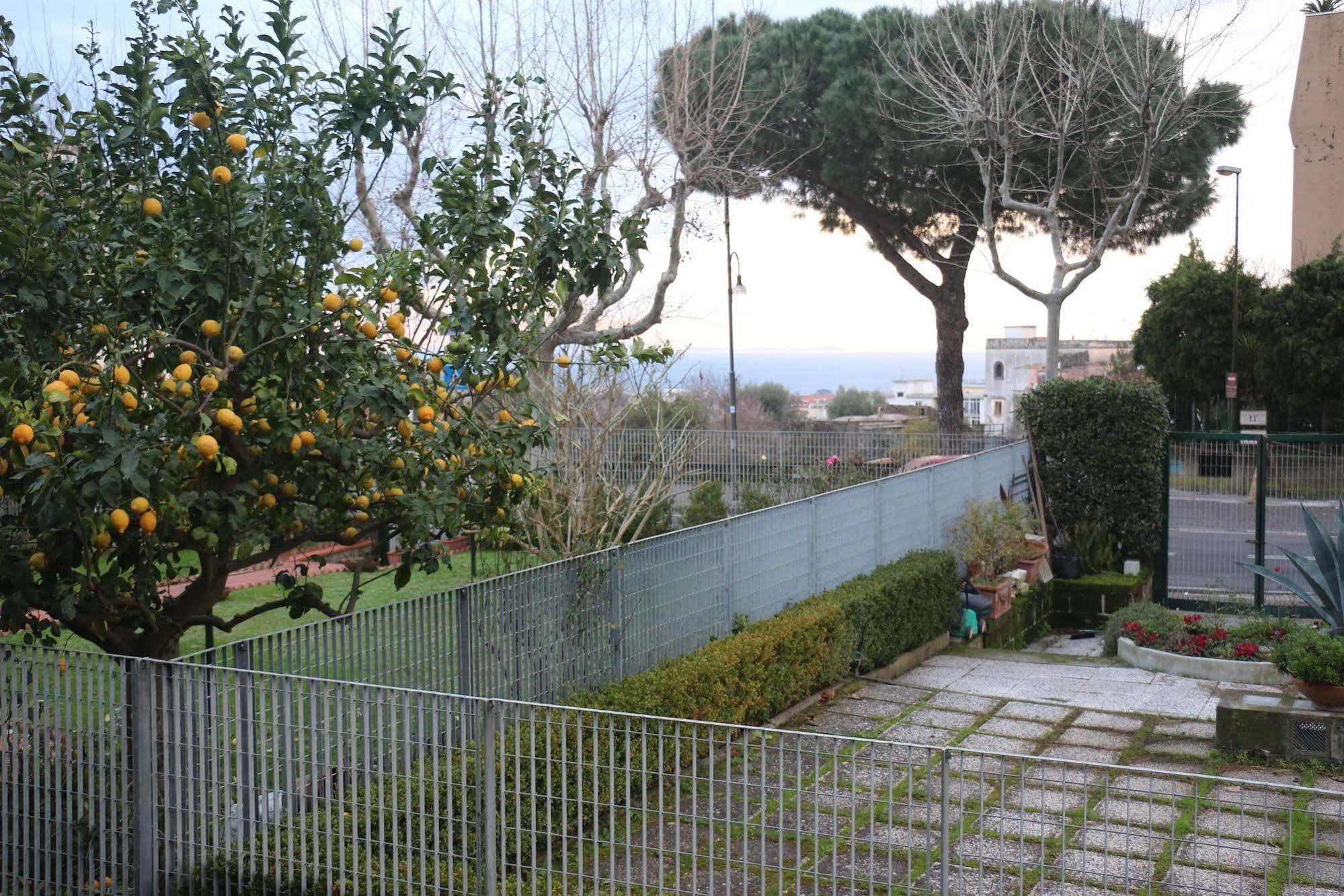 Il Platano Bed & Breakfast Piano di Sorrento Eksteriør bilde