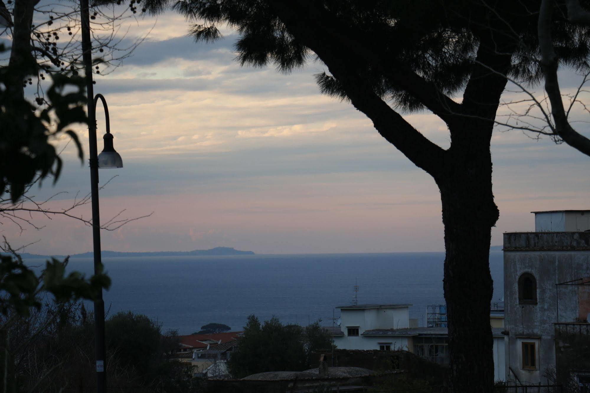 Il Platano Bed & Breakfast Piano di Sorrento Eksteriør bilde